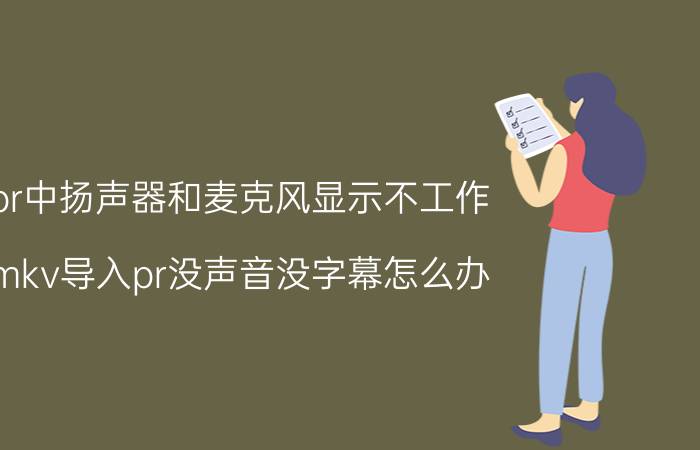 pr中扬声器和麦克风显示不工作 mkv导入pr没声音没字幕怎么办？